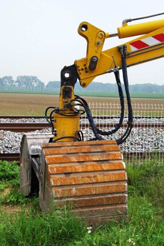 2018-05-16 PN n°46 à Jussy (8).jpg