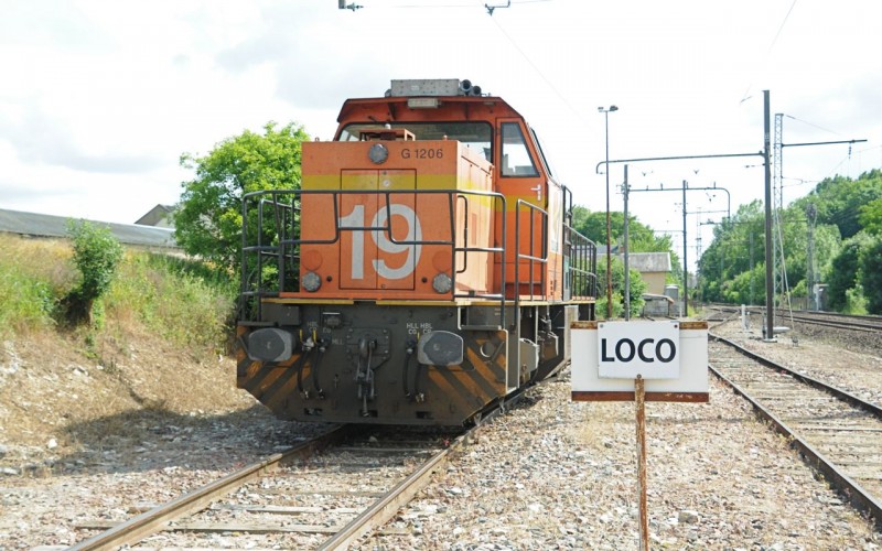 MCS_3233.jpg
