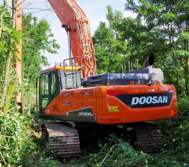 2018-07-02 Ponts de Bray à Jussy (5).jpg (370.17 Kio) Vu 1988 fois 2018-07-02 Ponts de Bray à Jussy (5).jpg