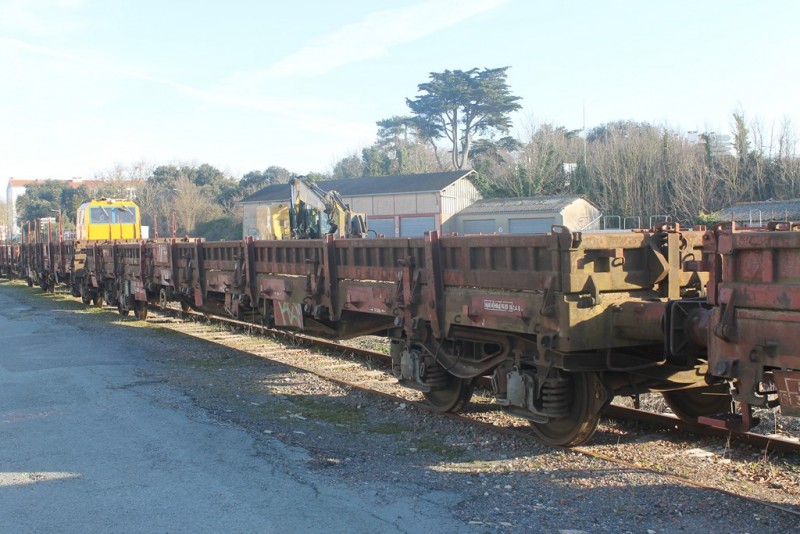 IMG_7155 (Copier).JPG