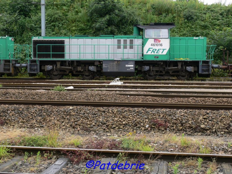 461016.jpg