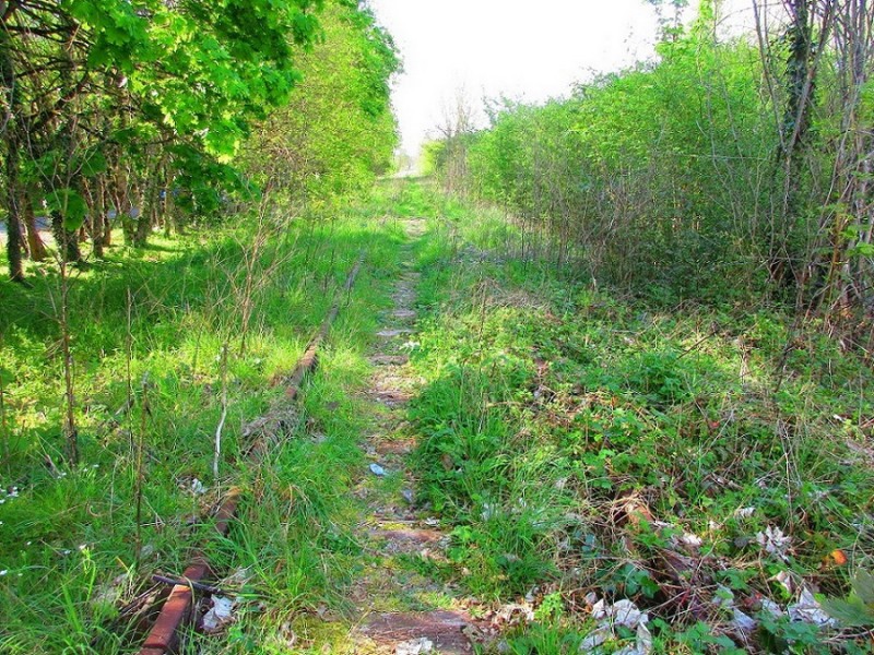 (104) Aire repos RD 943 Bridoré (Indre et Loire) direction Loches.jpg (395.19 Kio) Vu 10265 fois (104) Aire repos RD 943 Bridoré (Indre et Loire) direction Loches.jpg