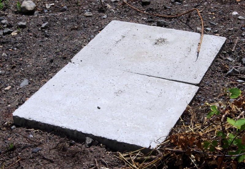 2019-06-21 Essigny-le-Grand (9).jpg (273.68 Kio) Vu 9871 fois 2019-06-21 Essigny-le-Grand (9).jpg