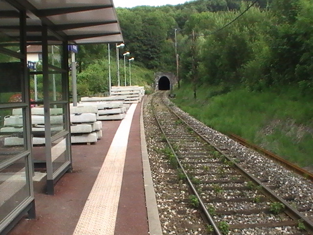 PIC_3915.JPG