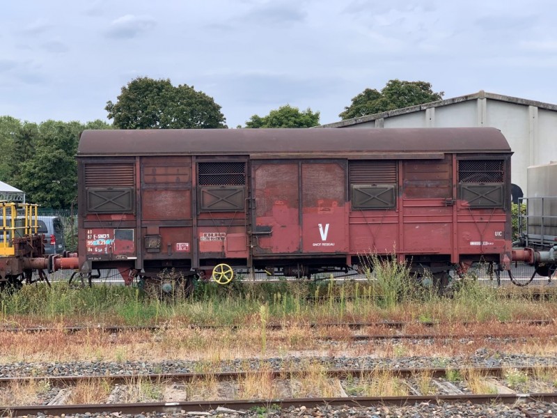 IMG_3565.JPEG