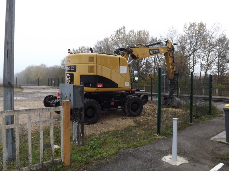 DSCF6380 (Copier).JPG
