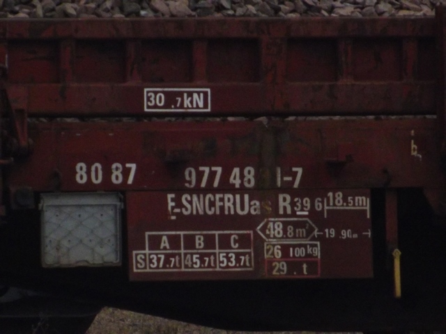 DSCF1274 (Copier).JPG