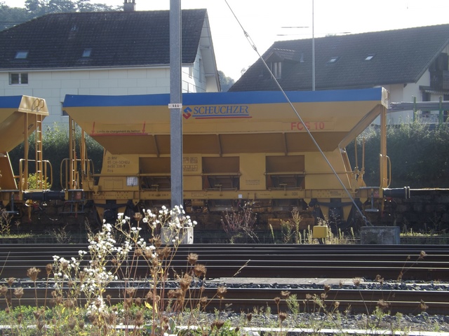 DSCF4761 (Copier).JPG