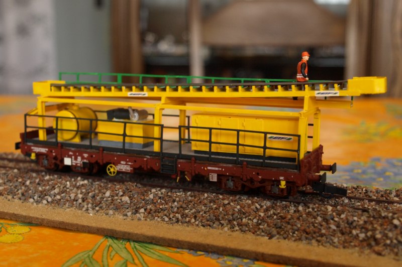 PB046505.JPG