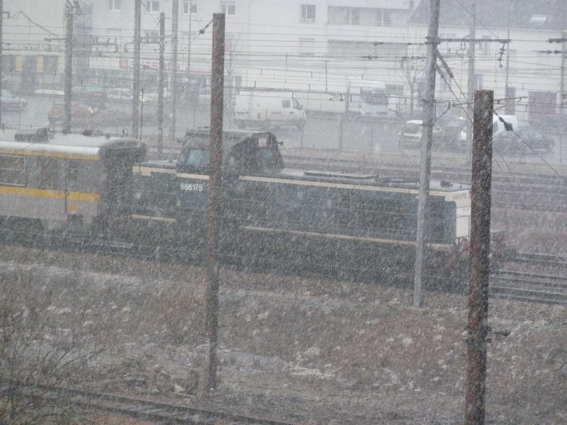 66175 (2012-01-30 Tours).jpg