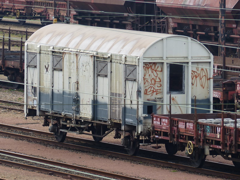 40 87 959 2 981-4 Us  G90 6 F SNCF-TR (2014-03-26 St Pierre) (1).jpg
