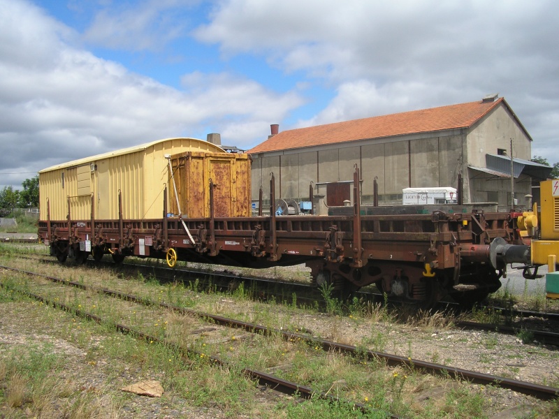 770_310.jpg