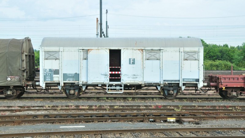 MCS_0517.jpg