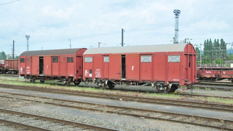 MCS_0513.jpg