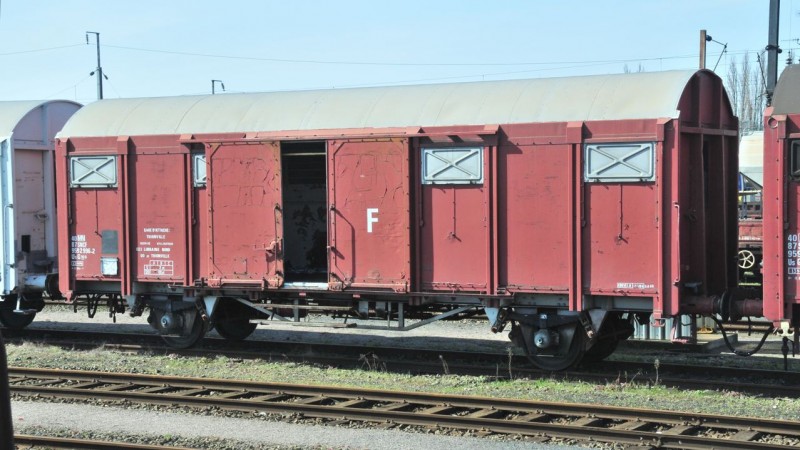 MCS_5981.jpg
