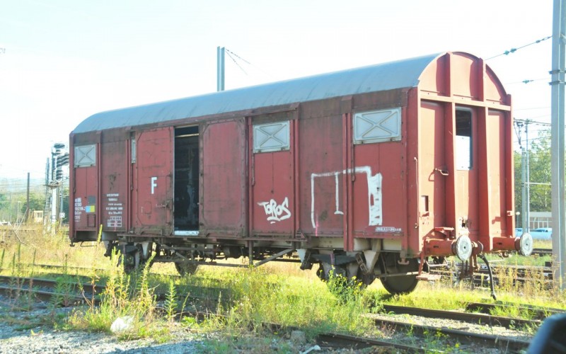 MCS_0082.jpg
