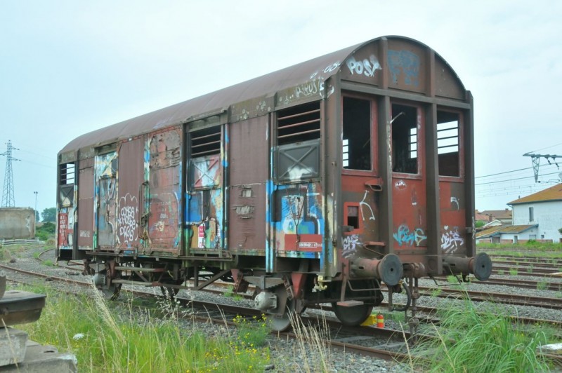 MCS_8464.jpg