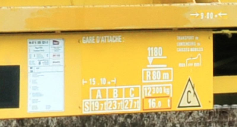 Detail taches jaunes.jpg