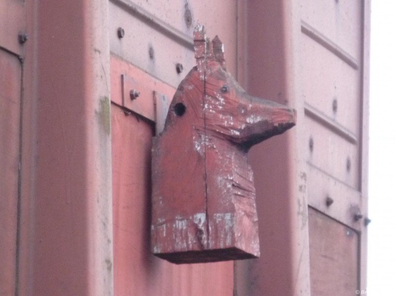 P1000475light.JPG