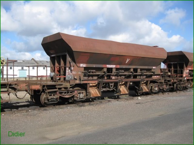 9779026-4.jpg