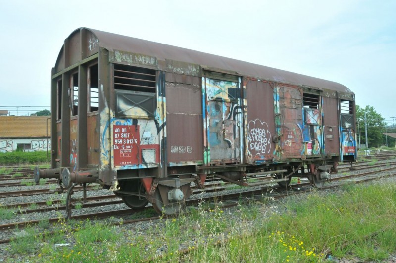 MCS_8465.jpg