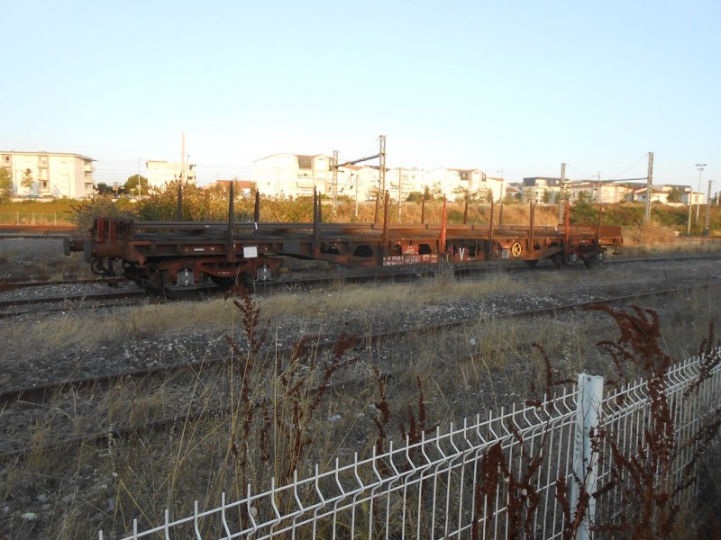 DSCN3171 [1024x768].JPG