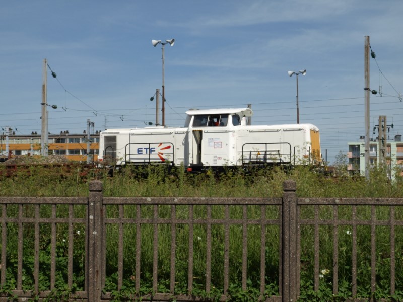 P8279913 [800x600].jpg