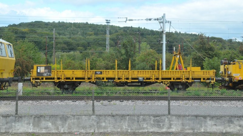 MCS_2839.jpg