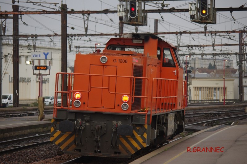 G1251.jpg