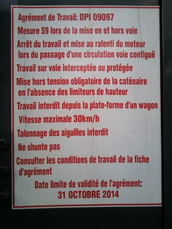 Pelle Meccoli (22) [Sttx].jpg