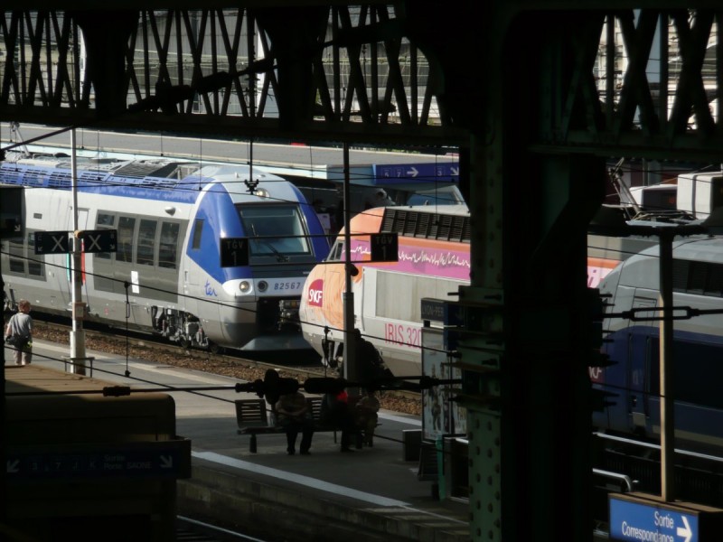 TGV Iris 320_02.JPG