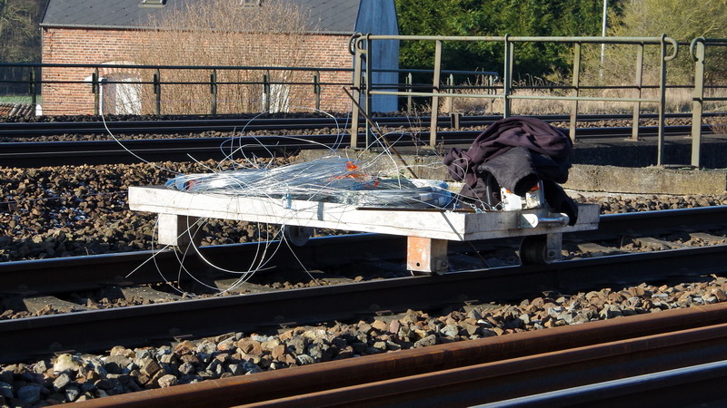 2017-01-19 Mennessi (4).jpg