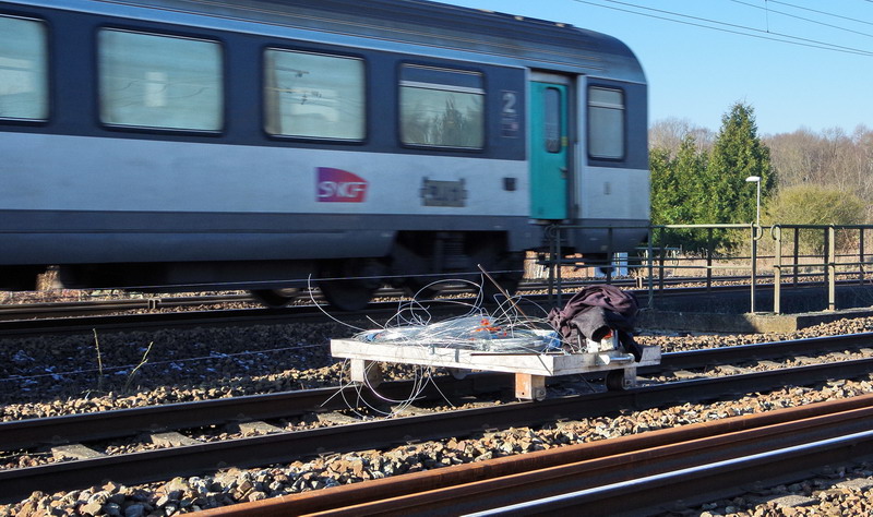 2017-01-19 Mennessi (7).jpg