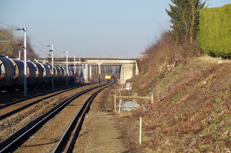 2017-01-19 Mennessi (9).jpg