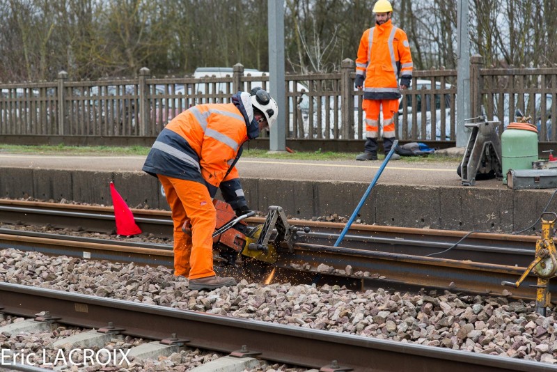 Train 2017 03 20 (37)-2.jpg (420.59 Kio) Vu 2500 fois Train 2017 03 20 (37)-2.jpg