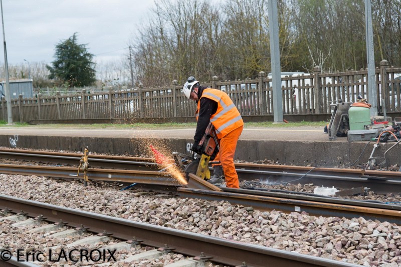 Train 2017 03 20 (51)-2.jpg