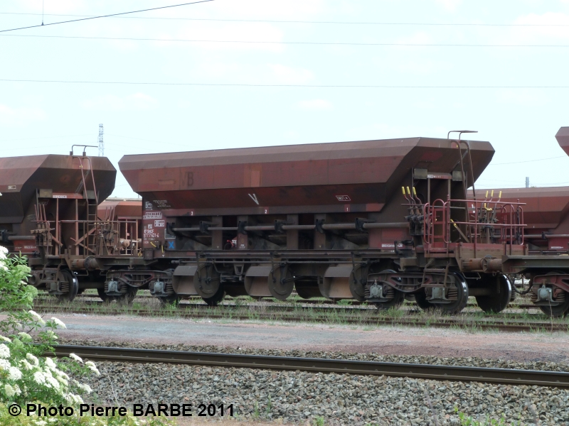 P1000380-800.JPG