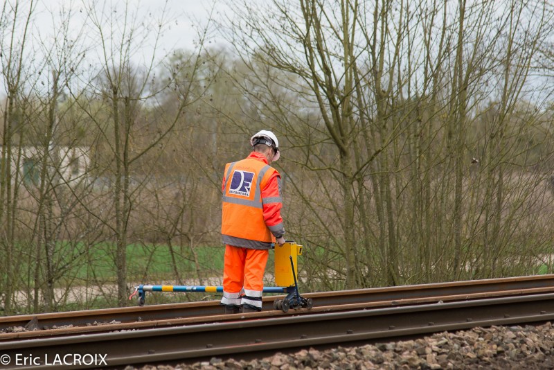 Train 2017 03 20 (410).jpg