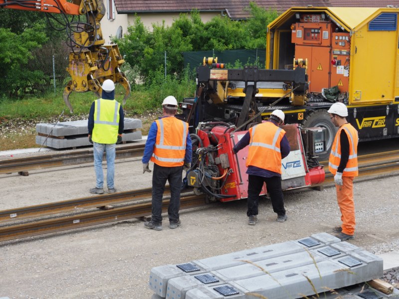 P6062134 [800x600].jpg