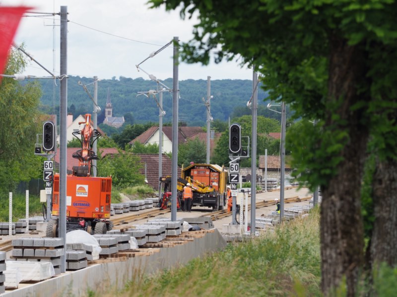 P6062139 [800x600].jpg