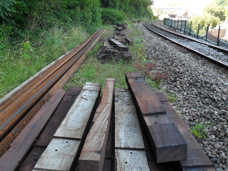 SDC11609.JPG