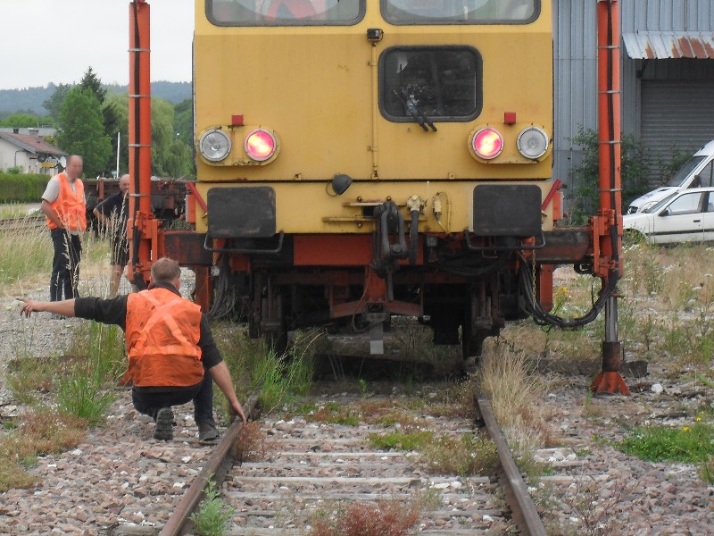 SDC11723.JPG