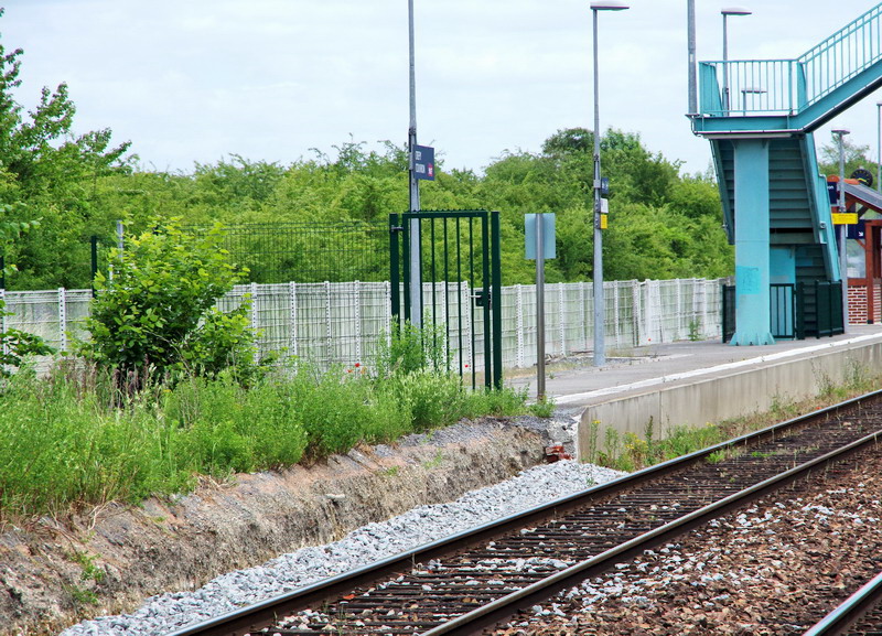 2017-06-12 Crépy-Couvron (20).jpg