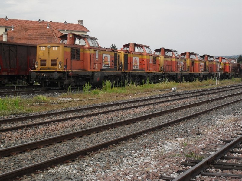 SDC11776.JPG