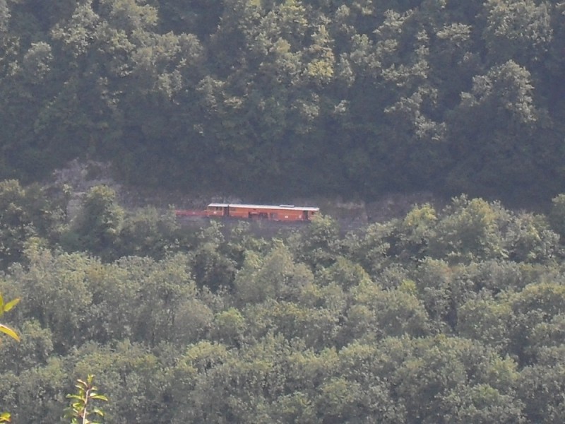 SDC12100.JPG