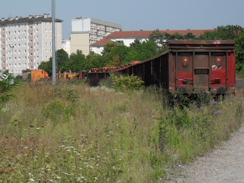 SDC12110.JPG