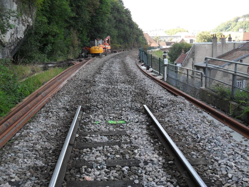 SDC12119.JPG