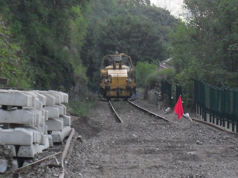 SDC12161.JPG