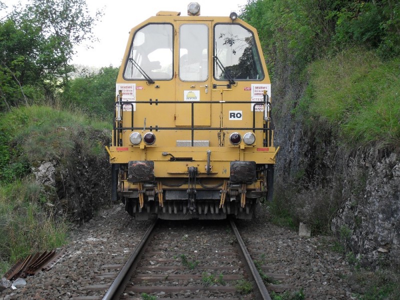 SDC12164.JPG