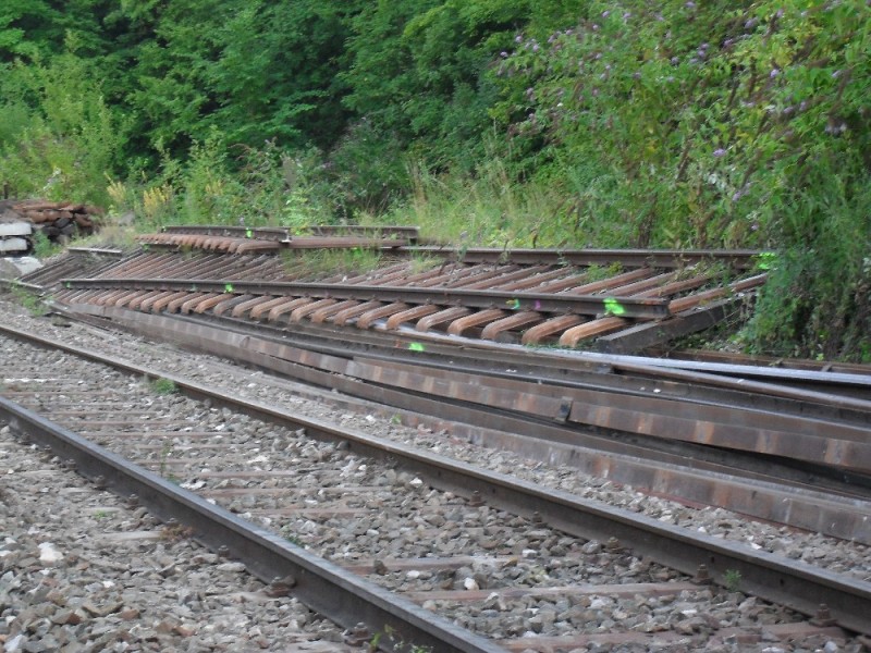 SDC12128.JPG